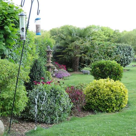 Acer Lodge Bed & Breakfast Mundford Buitenkant foto