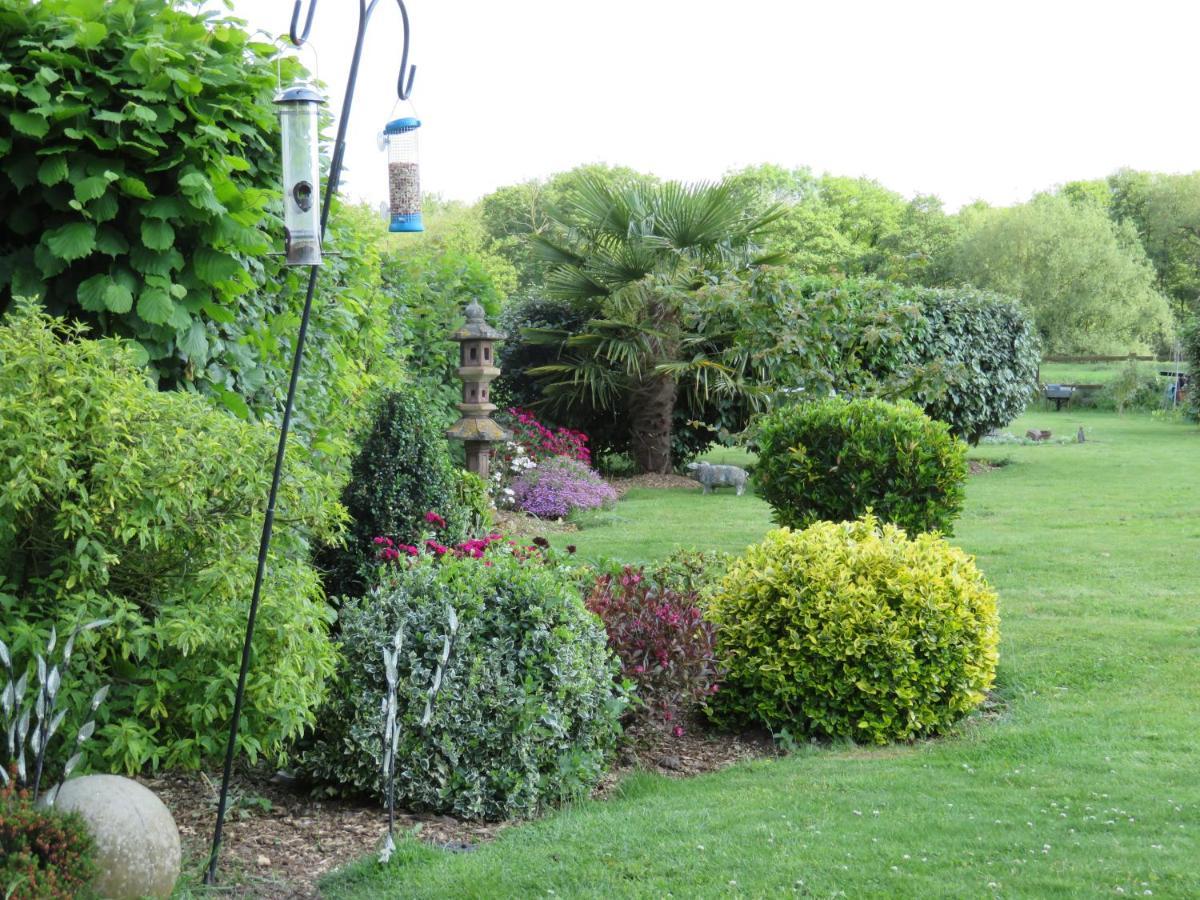 Acer Lodge Bed & Breakfast Mundford Buitenkant foto